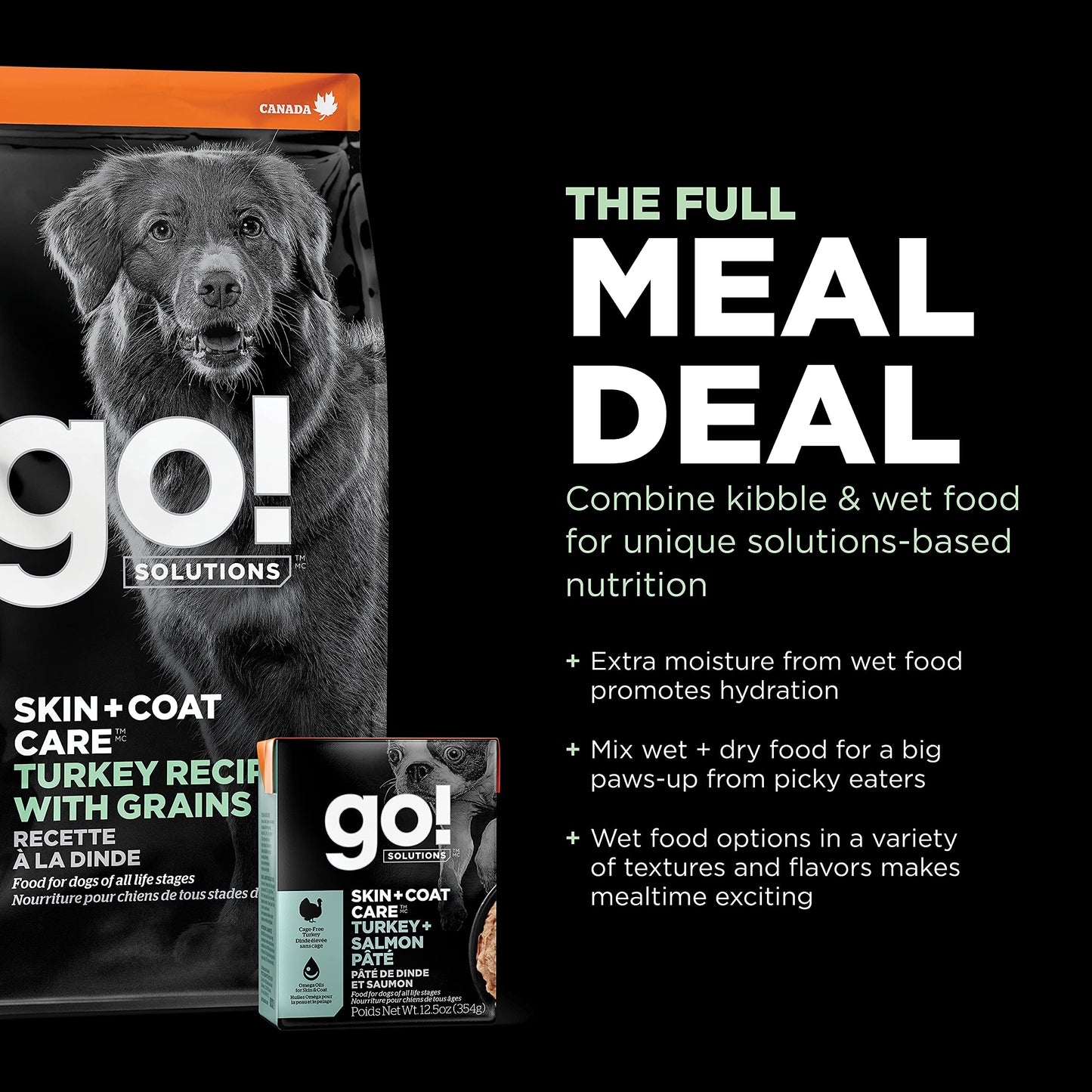 Go! Solutions Skin + Coat Care, Dry Dog Food, Turkey Recipe with Grains, 22 lb Bag