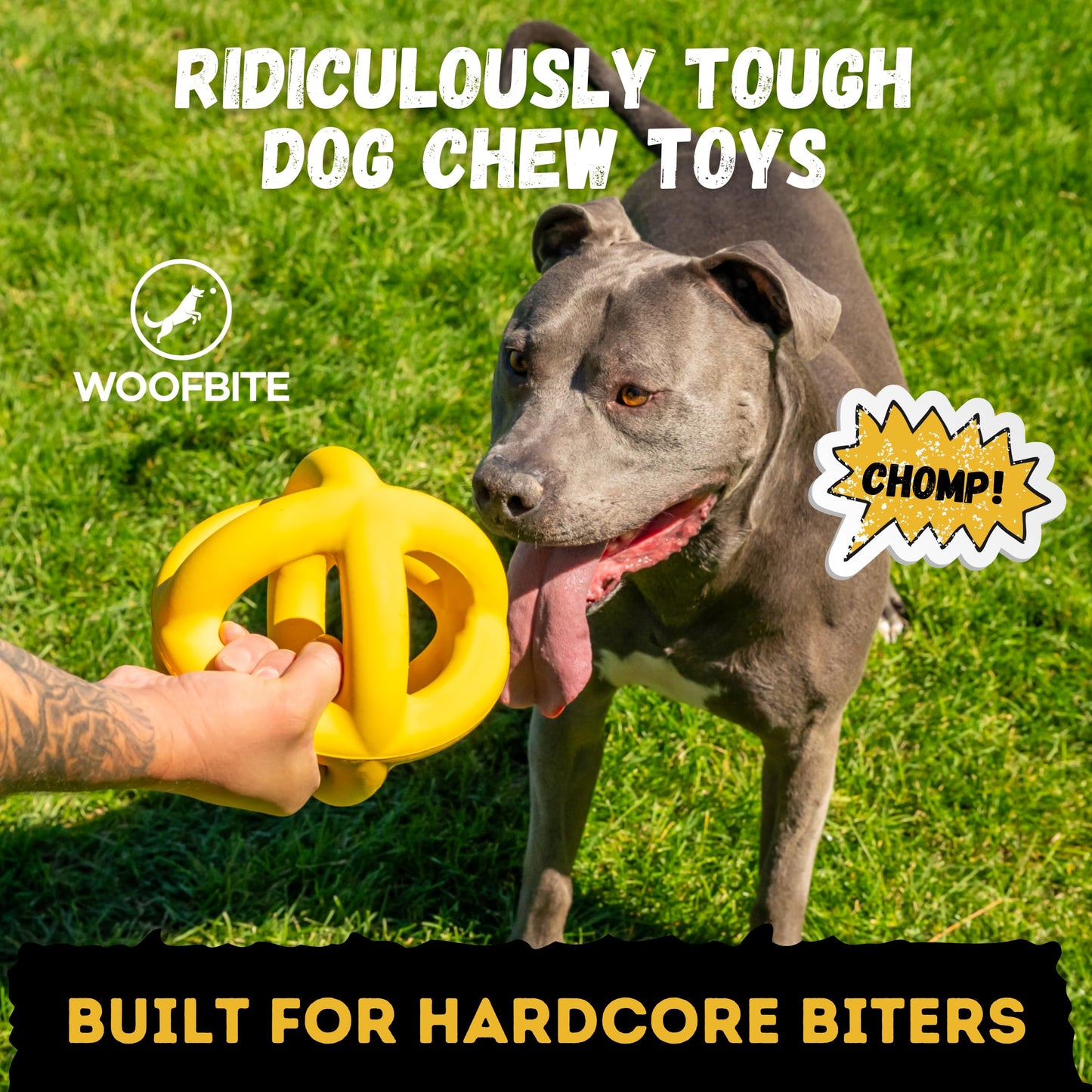 WoofBite Indestructible Giant XL Dog Ball - Lifetime Replacement - Durable Toy for Aggressive Chewers - Safe, Non-Toxic Natural Rubber - Chew, Tug & Fetch - Tough, Heavy Duty - Large Breed, Massive 8”