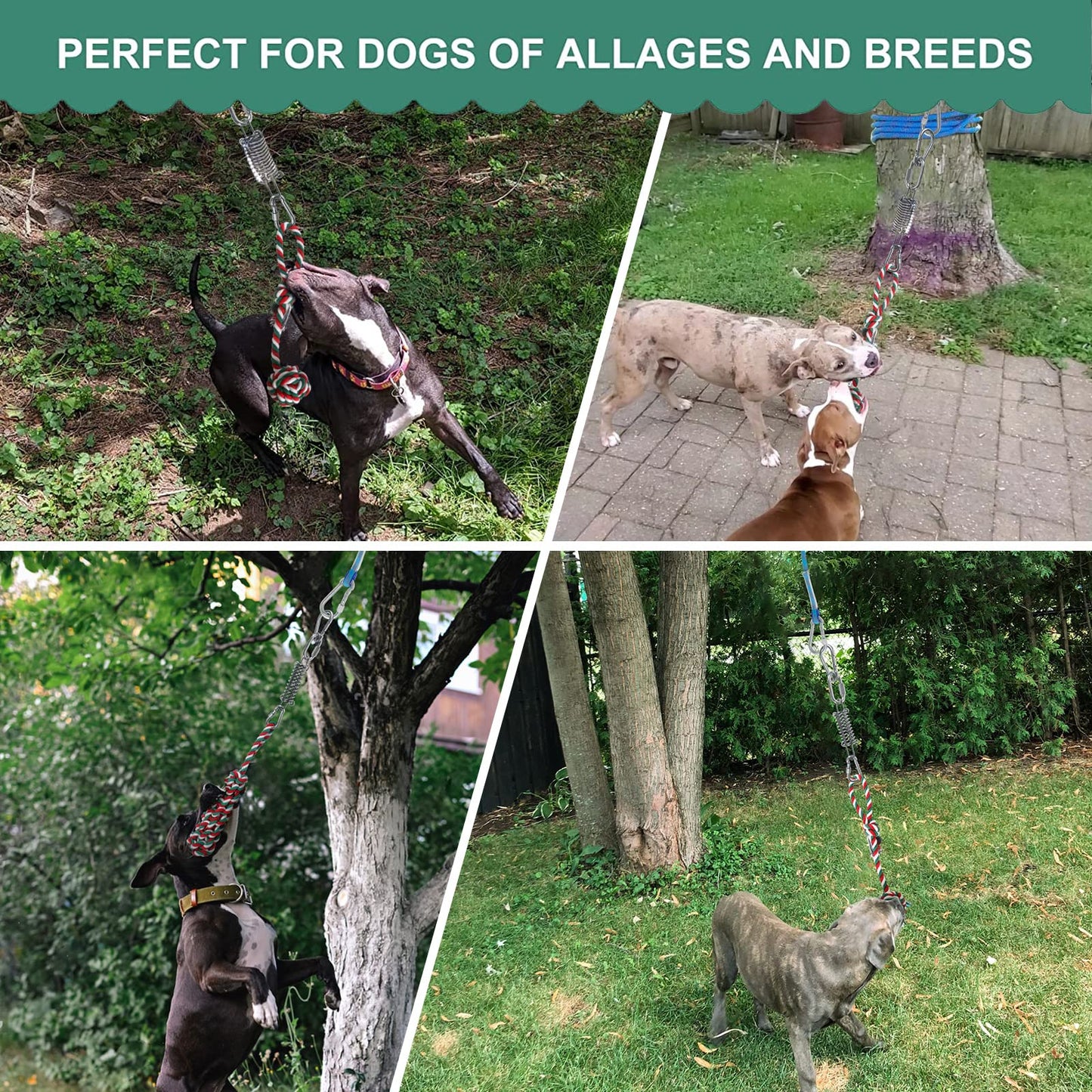 HOPET Dog Outdoor Bungee Solo Hanging Toy, Tether Tug of War Toys for Pitbull Small Large Aggressive Chewers Dogs to Exercise, Durable Interactive Tug Toy, Dog Rope Toys