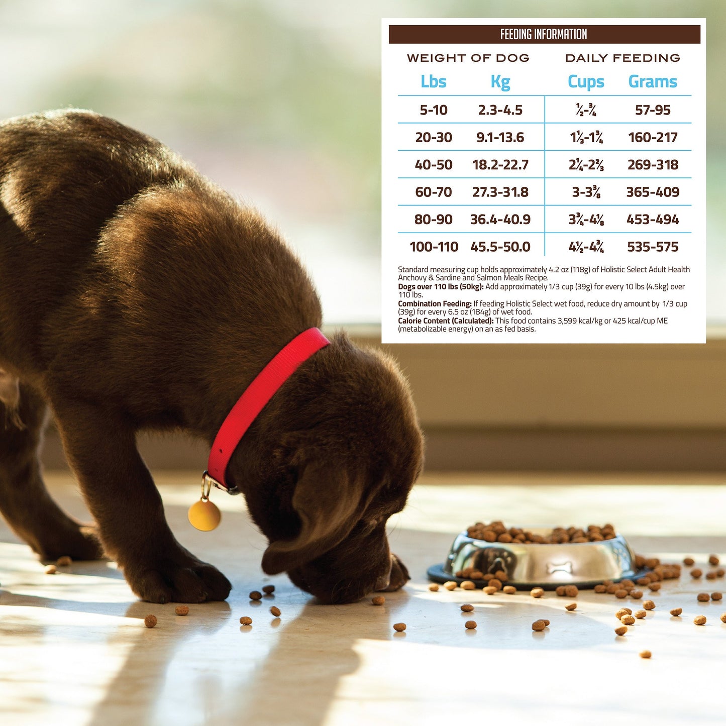 Holistic Select Natural Dry Dog Food, Anchovy & Sardine and Salmon Meal Recipe, 30-Pound Bag