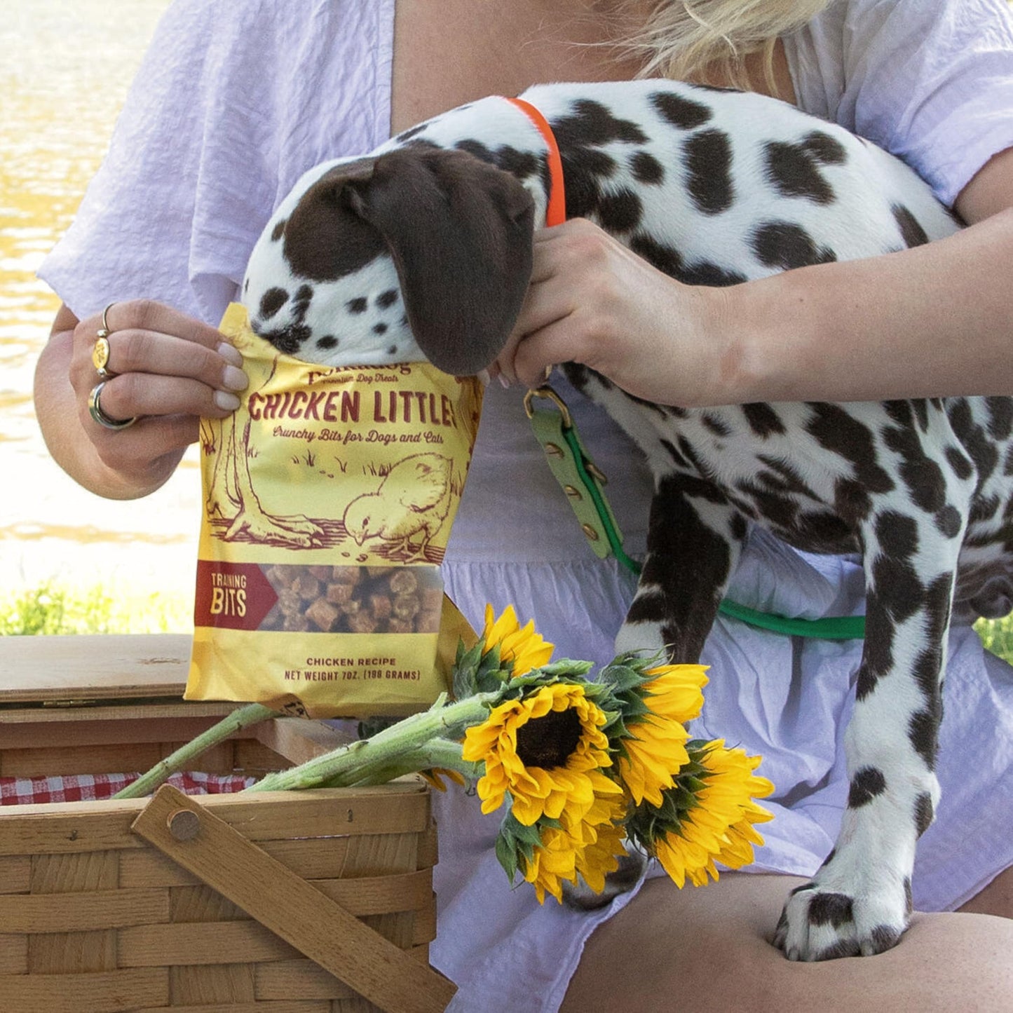 Polkadog Chicken Littles Crunchy Training Bits 3-Pack – All Natural, Limited Ingredient Healthy Training Treats for Dogs. Handcrafted in USA. Great for Dogs with Allergies – 7oz (Pack of 3)