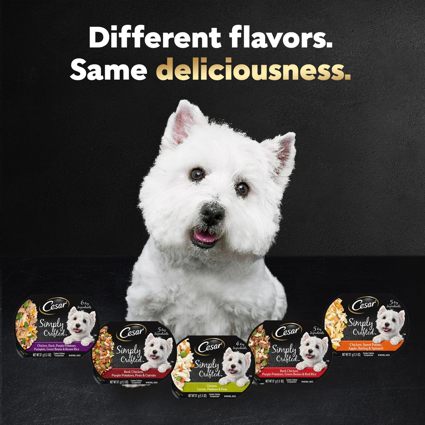 Cesar Simply Crafted Adult Wet Dog Food Meal Topper, Chicken, 1.3 oz. (10 Count, Pack of 1)