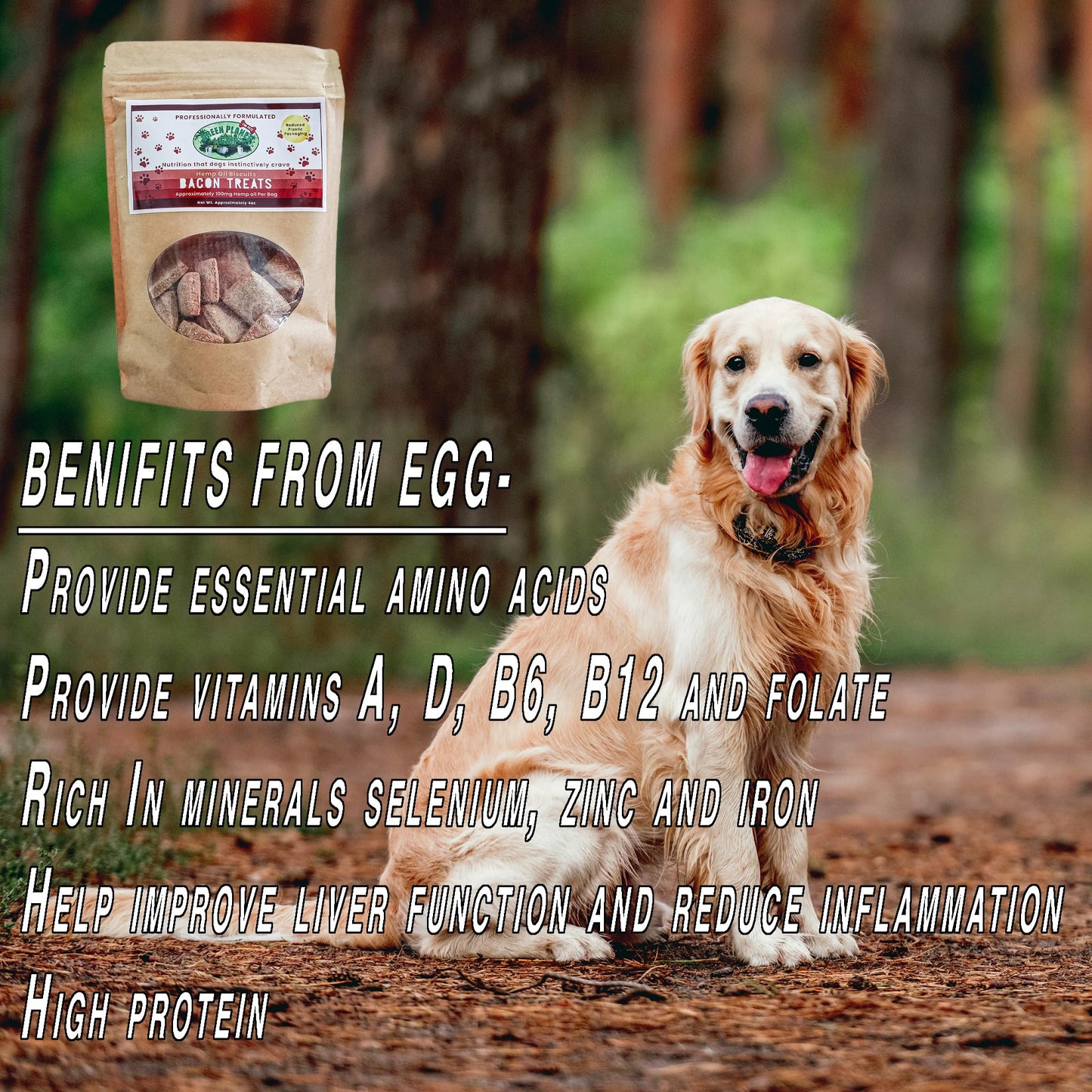 Green Planet Hemp Dog Treats | Bacon 100mg of Hemp Per Bag | 100% Natural and Non GMO | Offers Your Pet Hip, Joint, and Muscle Support | Aids with Anxiety,Stress, and Pain