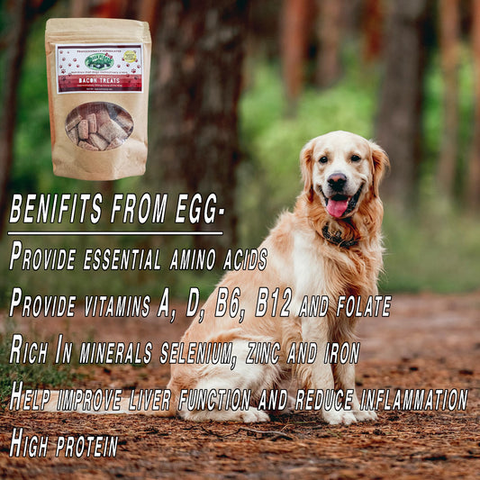 Green Planet Hemp Dog Treats | Bacon 100mg of Hemp Per Bag | 100% Natural and Non GMO | Offers Your Pet Hip, Joint, and Muscle Support | Aids with Anxiety,Stress, and Pain