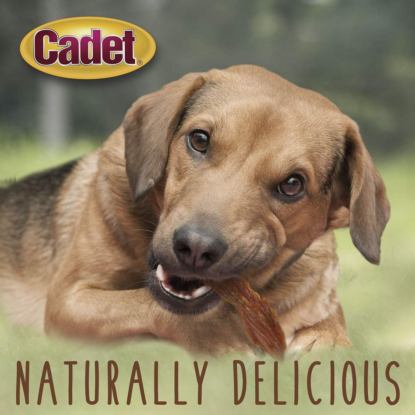 Cadet Gourmet Duck Breast Jerky Dog Treats, Healthy, Long-Lasting High-Protein Training Treats for Small & Large Dogs, 14 oz.