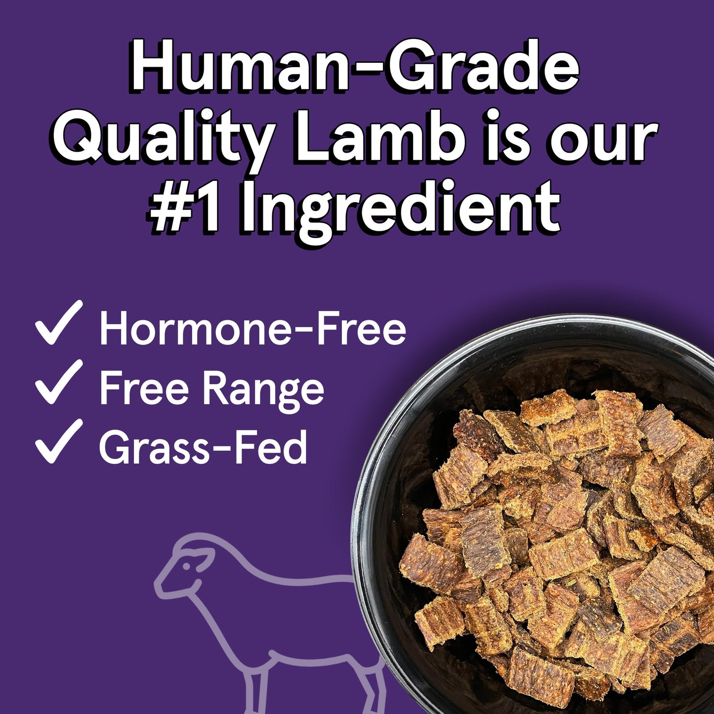 TRMC Real Meat Air Dried Dog Food w/Real Lamb - 2lb Bag of USA-Crafted Grain-Free Real Meat Dog Food Sourced from Hormone-Free, Free-Range, Grass-Fed Lamb - Digestible, All Natural, High Protein Lamb