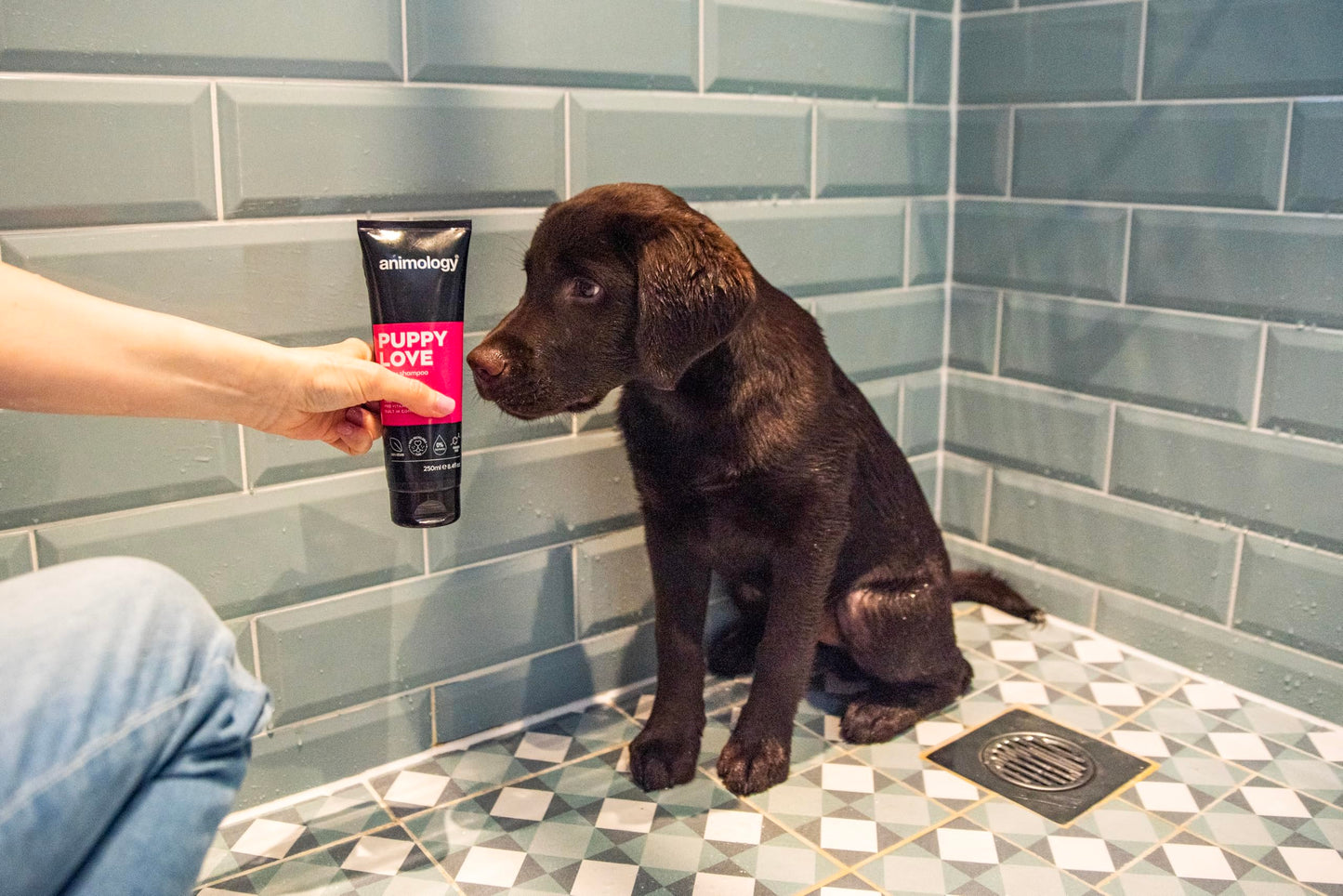 Animology Dog Shampoo Puppy Love Gentle Skin 250ml