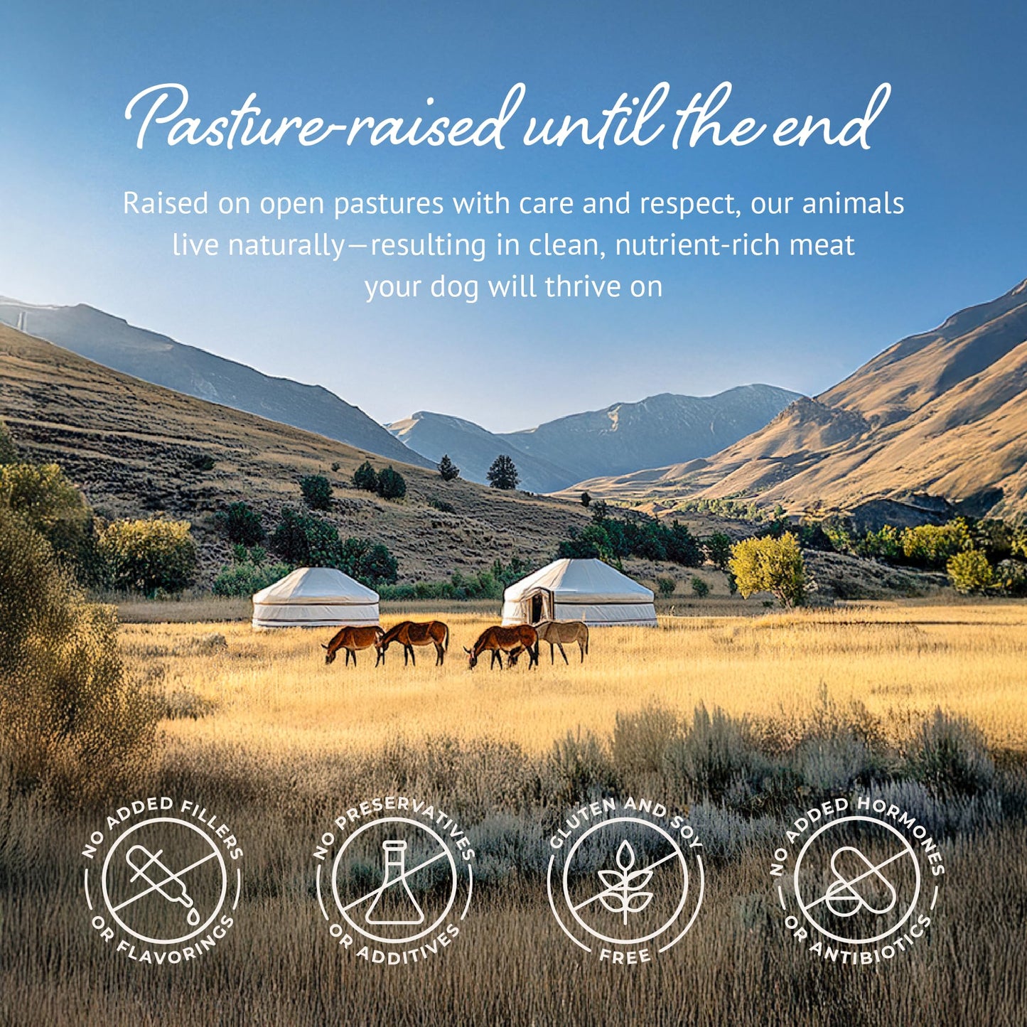 Freeze Dried Raw Dog Food, 100% Donkey Meat, Allergy Relief, Monoprotein, Training Treats or Toppings, Single Ingredient, All Natural, for Puppies, Adults and Seniors, 3.17 oz Bag