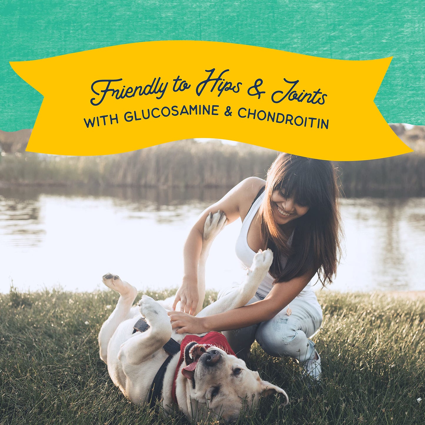 Natural Balance Limited Ingredient Rewards Jumpin' Stix, Grain-Free Dog Treats for Adult Dogs of All Breeds, Chicken Recipe, 10 Ounce (Pack of 1)