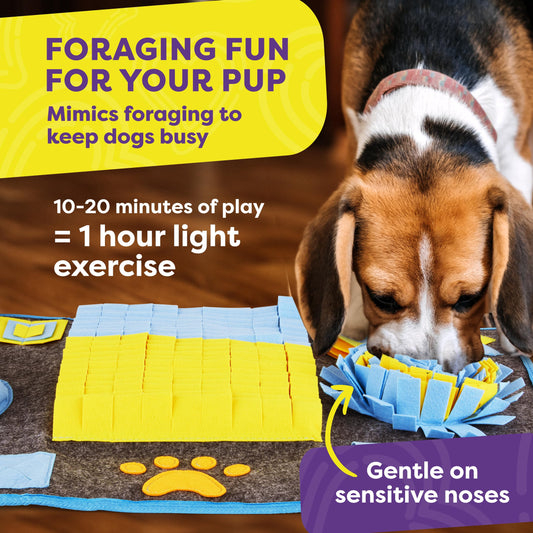 Hertzko XL Snuffle Mat for Dogs – Extra Large Felt Feeding & Activity Mat for Small & Large Breeds – Stimulation Toy with Grippy Bottom, Roll-Up Storage, and Easy Cleaning – Scent Game for Pets