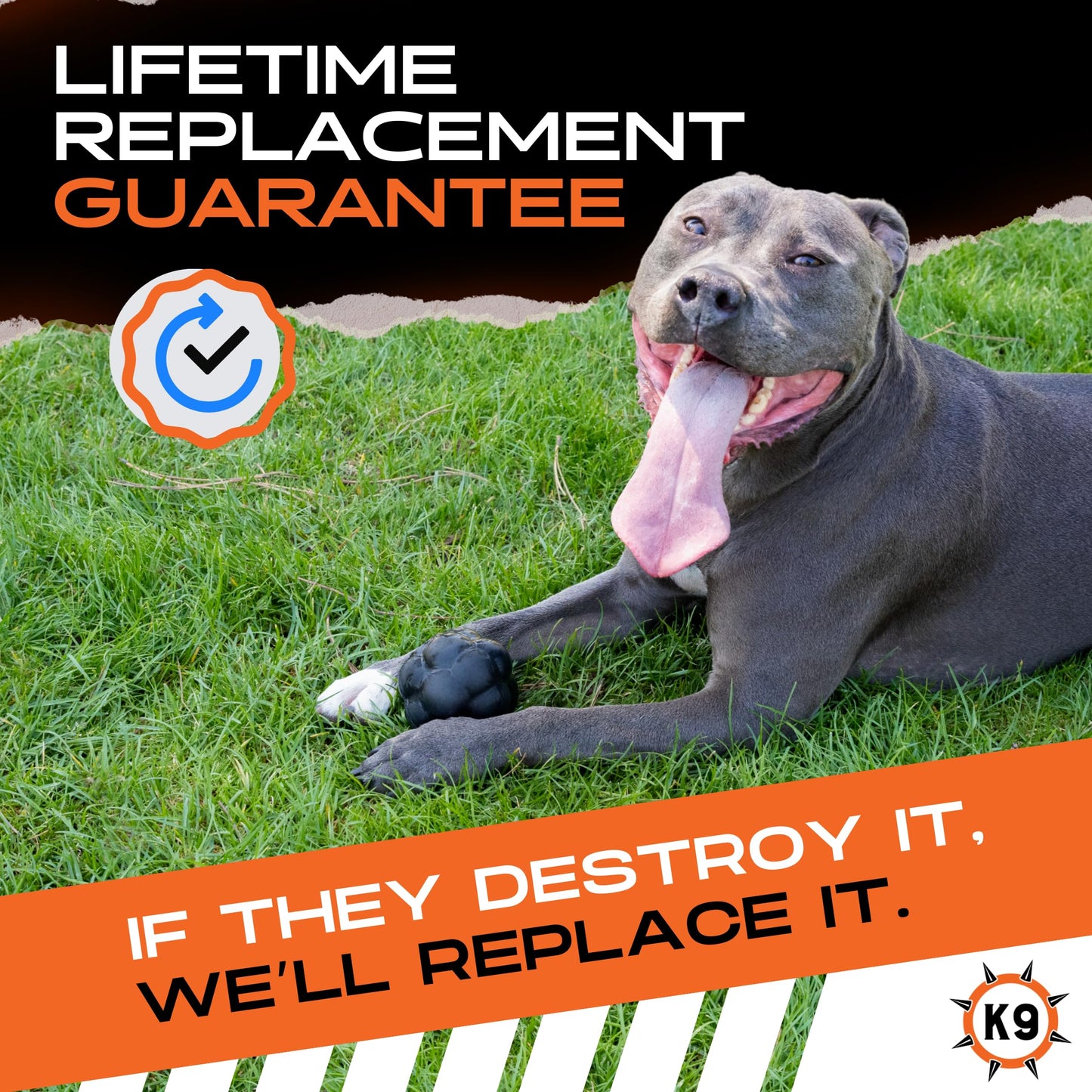 Kseroo P Dog Toys for Aggressive Chewers, Indestructible Dog Toy, Octopus Squeaky Dogs Chew Toys for Medium and Large Breed—Keep Dogs Busy for Summer Pool Party, Outdoor Travel, Blue