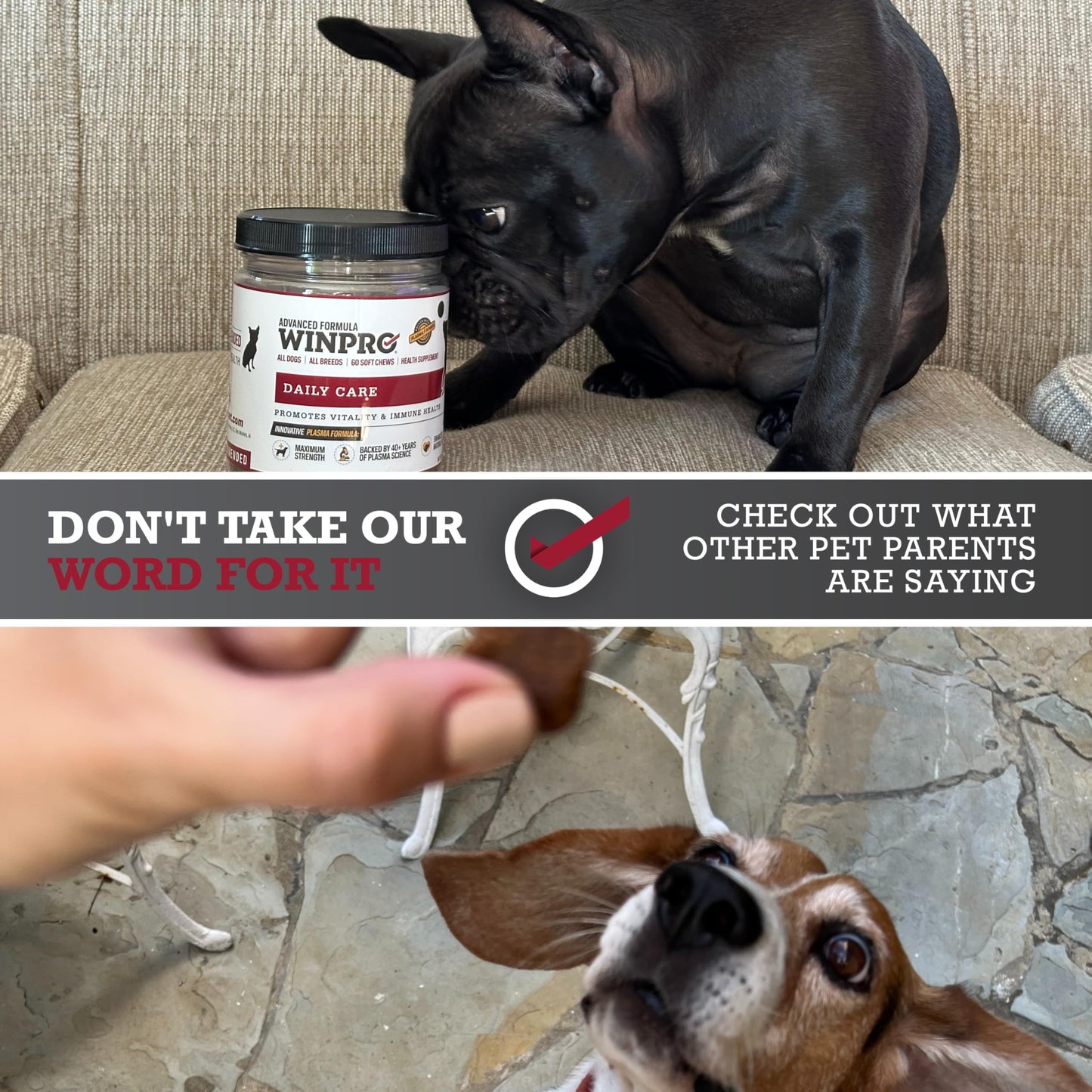 WINPRO Pet Daily Care Chews for Dogs, 60 Soft Chews, Plasma Powered, Grain Free Supplement for Dogs Providing Vitality and Immunity Support