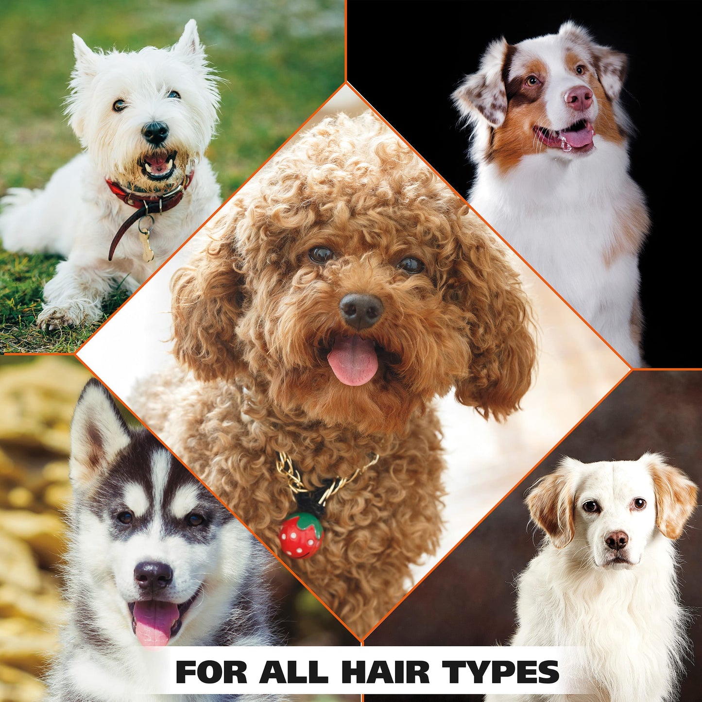 Wahl USA Shed Control Pet Shampoo for Dog Shedding & Dander – Lemongrass & Sage Scent - Contains Oatmeal, & Aloe for Healthy Coats & Moisturized Skin – 24 Oz - Model 820005A
