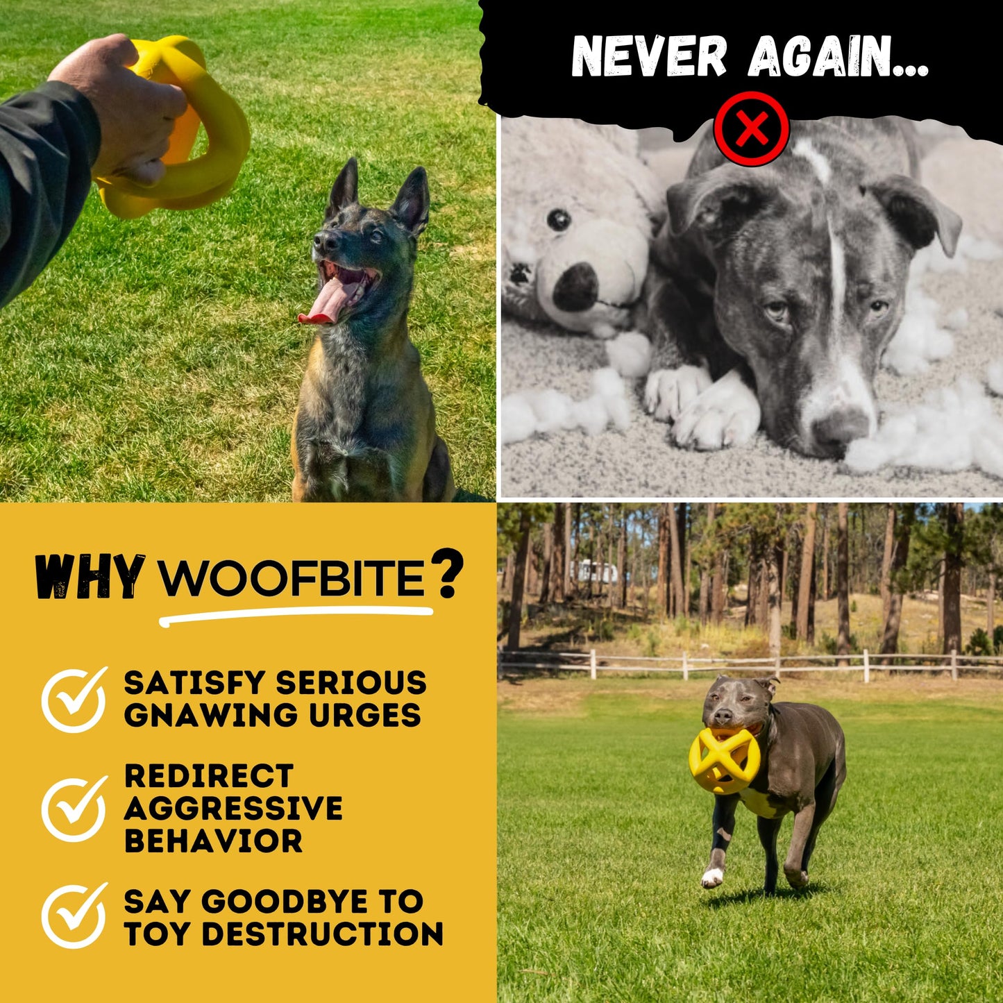 WoofBite Indestructible Giant XL Dog Ball - Lifetime Replacement - Durable Toy for Aggressive Chewers - Safe, Non-Toxic Natural Rubber - Chew, Tug & Fetch - Tough, Heavy Duty - Large Breed, Massive 8”