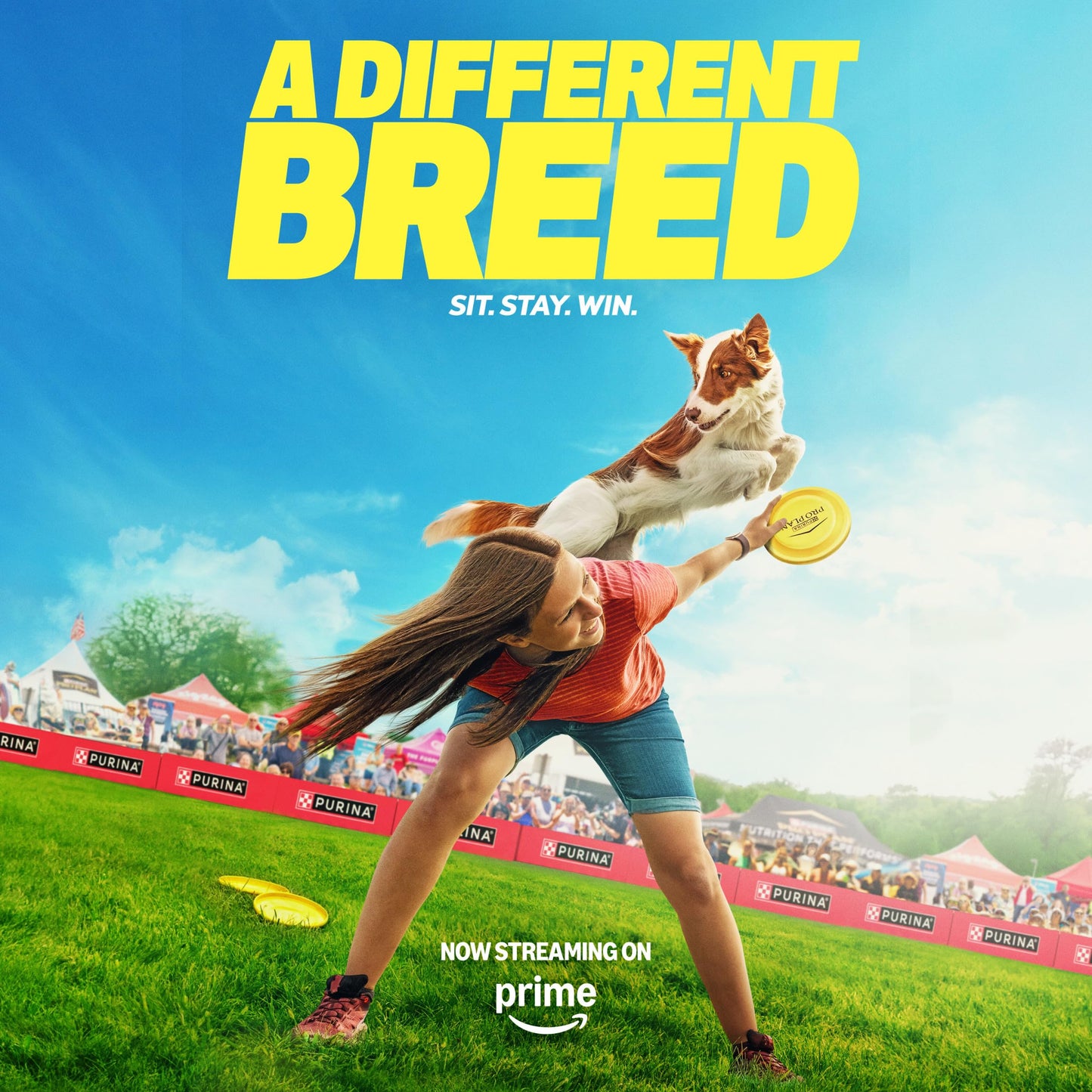 Purina Pro Plan Sport Development Large Breed 30/18 Chicken and Rice High Protein Dog Food Puppy Formula - 18 lb. Bag