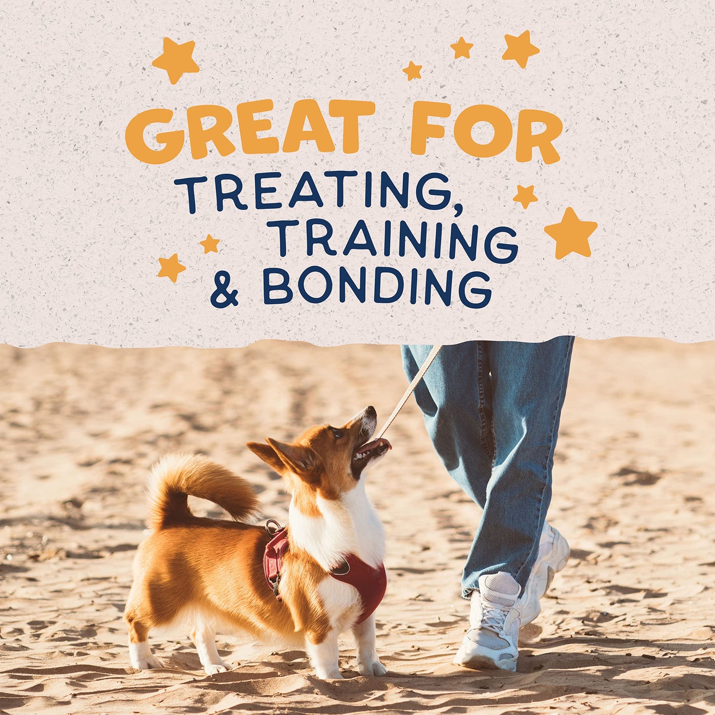 Natural Balance Limited Ingredient Rewards Crunchy Biscuits, Bite-Size Grain-Free Dog Treats for Small-Breed Dogs, Made with Real Duck, 8 Ounce (Pack of 1)