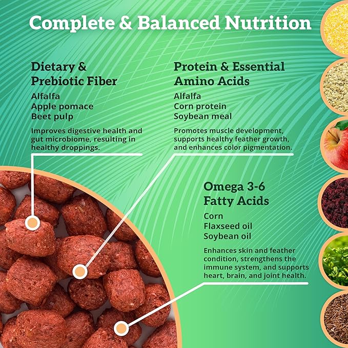 Scenic Apple Paradise Premium Parrot Food - Apple & Natural Flavors, High Protein, Low Iron Conure Bird Food, Eclectus & Other Small Pet Parrots, Omega 3, Vitamins & Minerals, 1 LB