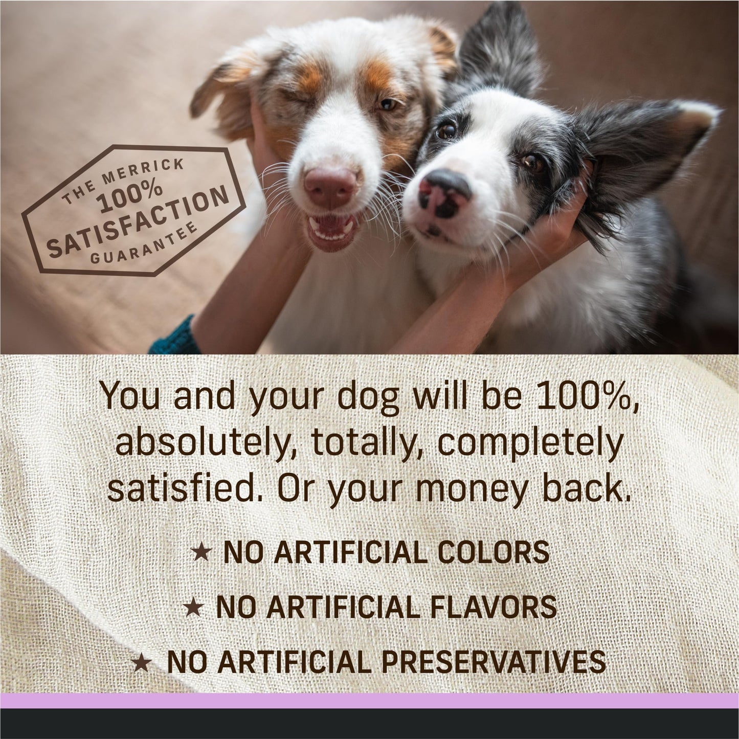 Merrick Limited Ingredient Diet Premium with Healthy Grains Natural Canned Wet Dog Food Turkey and Brown Rice - (Pack of 12) 12.7 oz. Cans