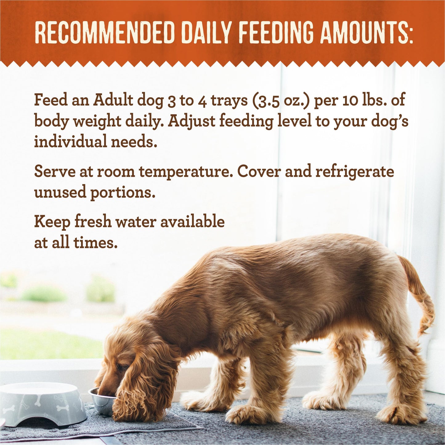 Merrick Lil’ Plates Grain Free Dinner Duos Soft Natural Wet Small Dog Food Variety Pack, Beef and Turkey - (Pack of 1) 2.6 lb. Tubs