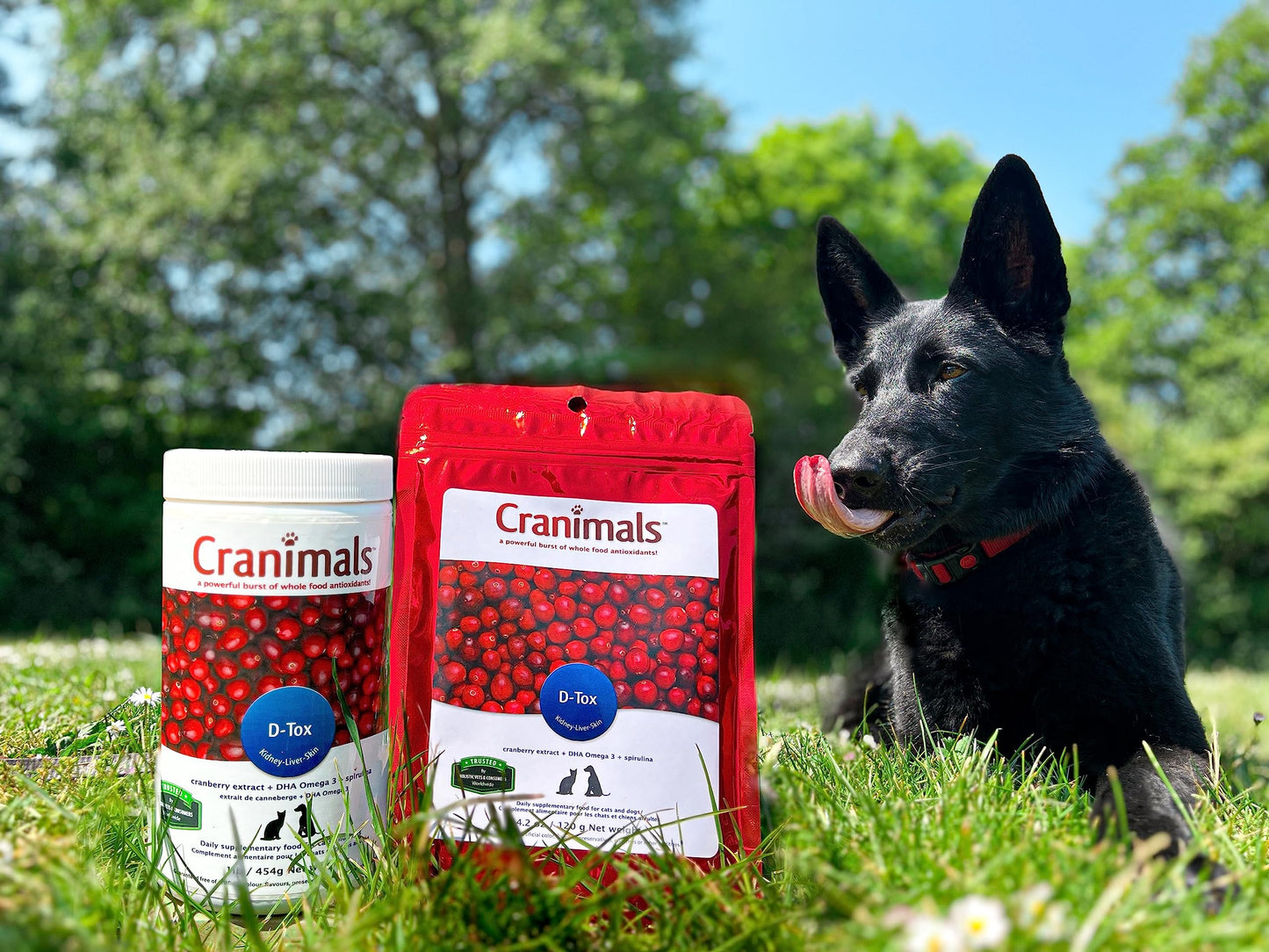 Cranimals D-Tox Daily Multivitamin for Dogs, Superfood Amino Acids, Antioxidants, DHA Fatty Acids, Vitamins E, B, D, Biotin, Minerals to Support Metabolic Function, Energy, Pet Wellness, Longevity
