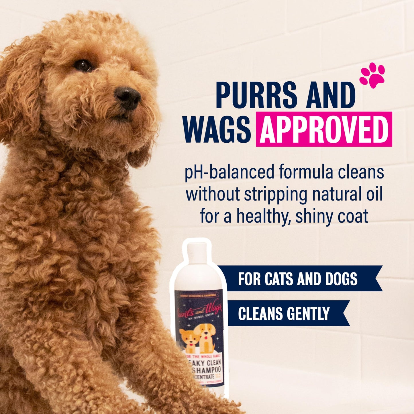 Pants & Wags by Rebel Green Squeaky Clean Pet Shampoo Concentrate - Orange Blossom & Chamomile - Hypoallergenic - No Dyes or Perfumes - 16 oz - 2 Pack