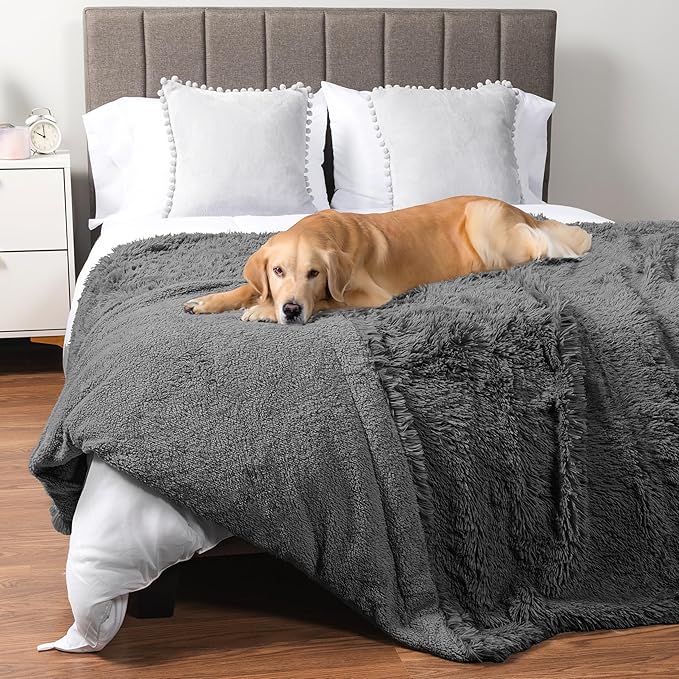 PetAmi Waterproof Dog Blanket for Large Dog, Calming Pet Blanket Bed Couch Cover Protector, Washable Sherpa Faux Fur Throw for Sofa Furniture Protection, Soft Fluffy 60x80 Gray
