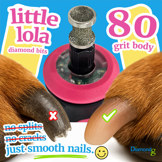Diamondg Dog Nail Grinder Bits, 2 Pack - Compatible with Dremel, Diamond Bits for Pet Nails, Ideal for Small and Large Dogs (Standard Little Lola & Standard Big Casey)