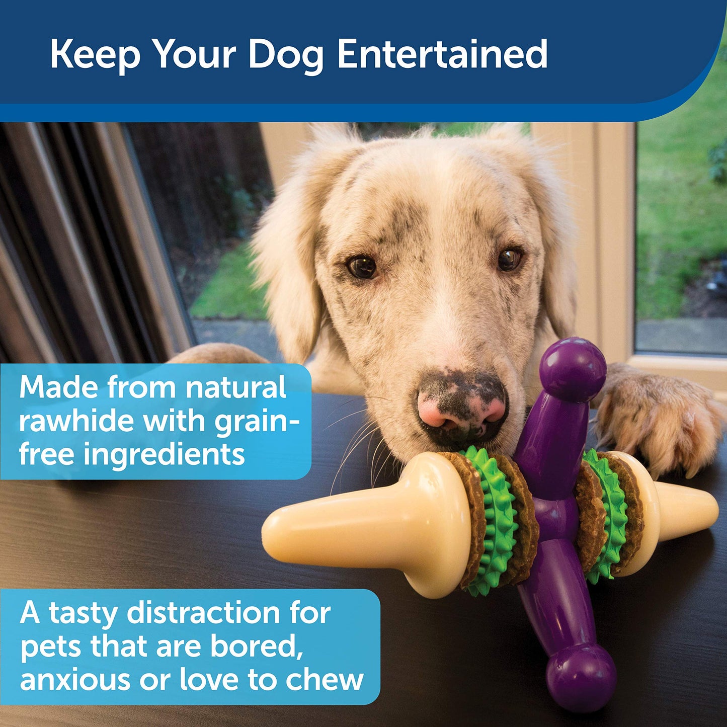 PetSafe Busy Buddy Jack - Keeps Dog Busy - Includes Treats Refill - Treat Holding Dog Toy - Helps Clean Teeth - Durable Rubber - Strong Chewers - Dishwasher Safe - Medium - Purple