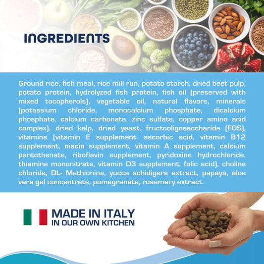 Forza10 Dermo Allergy Dog Food, Dog Food for Allergies and Itching, Dry Dog Food for Skin Allergies, Fish Flavor Sensitive Stomach Dog Food, Sensitive Stomach Dog Food Adult Dogs All Breeds, 6 Pounds