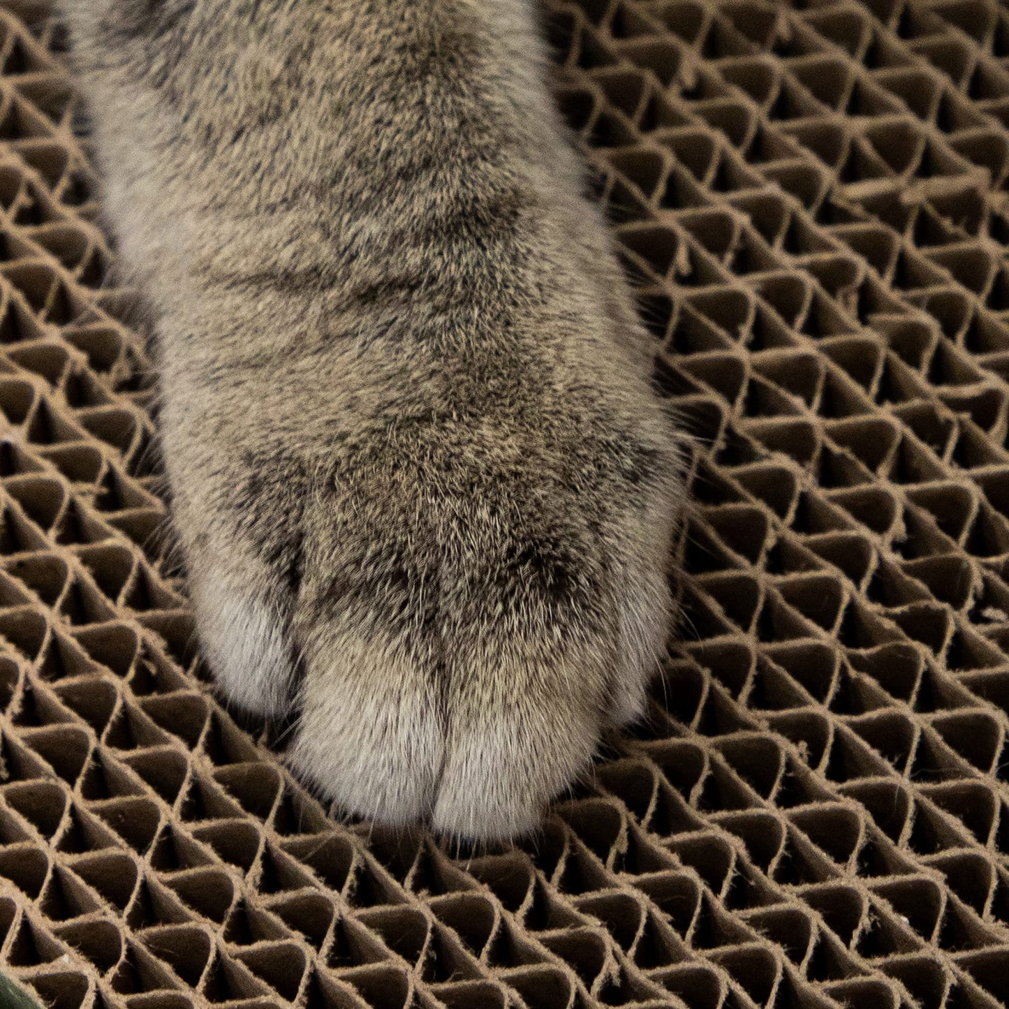 Chew King Premium Treat Dog Toy, Medium, Extremely Durable Natural Rubber Fillable Toy Collection, Frozen Feeding, All Breed Sizes