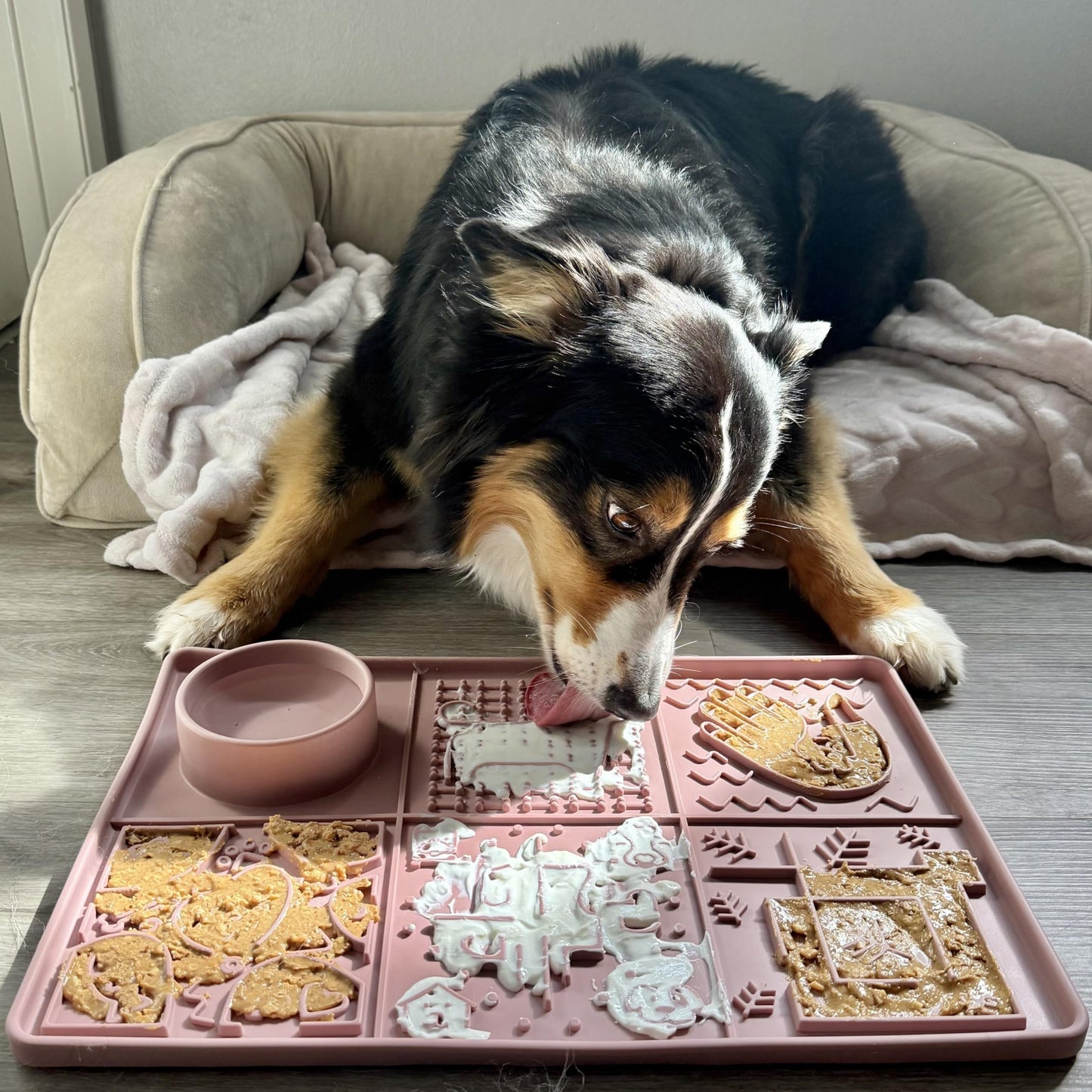 Tails & Tales Pet Licking Mat, Large Size with Non-Slip Suction Cups, Dog & Cat Slow Feeder for Anxiety Relief, Grooming Bathing Training Mat for Peanut Butter & Yogurt