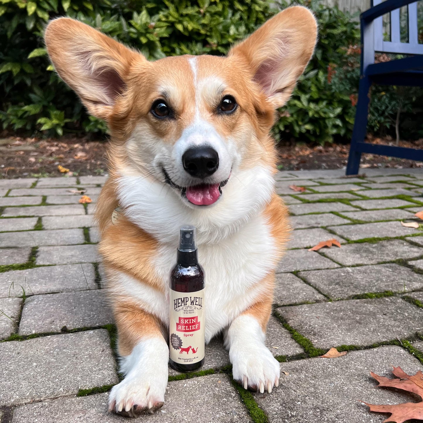 BURT'S BEES FOR PETS Bundle - Ear Cleaner with Peppermint & Witch Hazel (4 oz) & Itch Soothing Spray with Honeysuckle (10 oz), Natural Dog Ear & Skin Care for Gentle Cleaning & Itch Relief