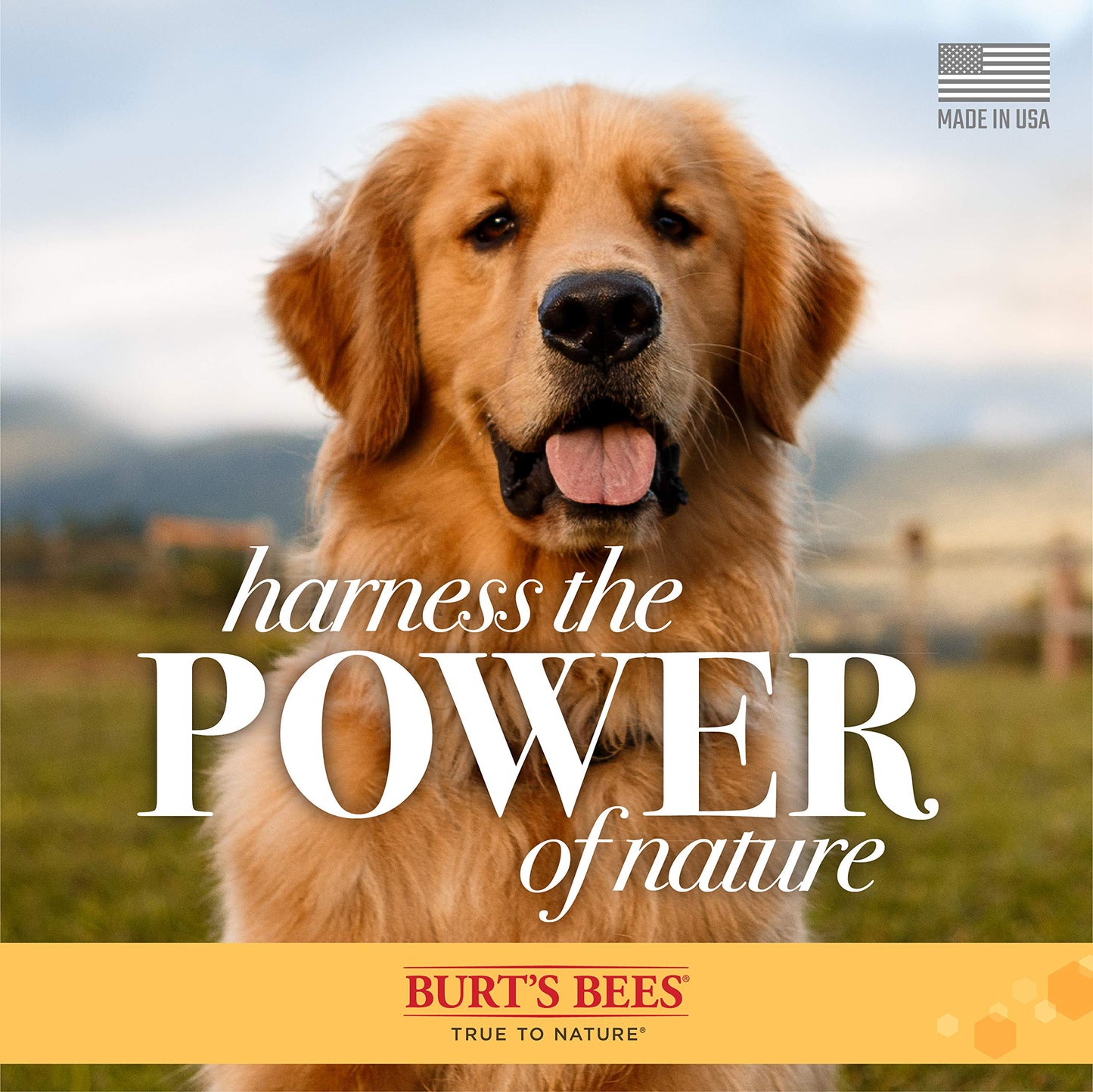 Burt's Bees for Pets Oatmeal Dog Conditioner with Colloidal Oat Flour & Honey - Soothing Relief Conditioner for Dogs, Gentle Dog Hair Conditioner for Oatmeal Bath, Grooming Supplies, 10 Fl Oz