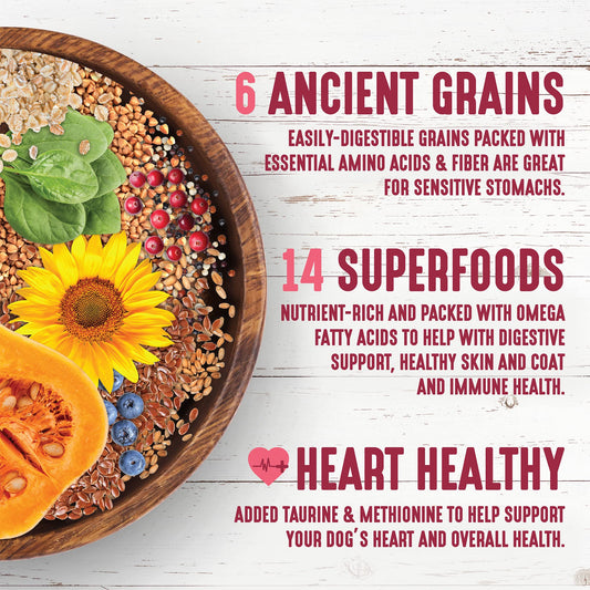 Earthborn Holistic Venture Unrefined Roasted Rabbit with Ancient Grains & Superfoods Dry Dog & Puppy Food, 4 lb.