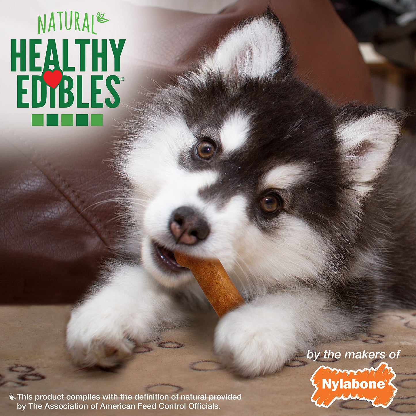 Nylabone Healthy Edibles Natural Puppy Chews Long Lasting Treats for Puppies, Turkey & Sweet Potato Flavor, X-Small/Petite (8 Count)