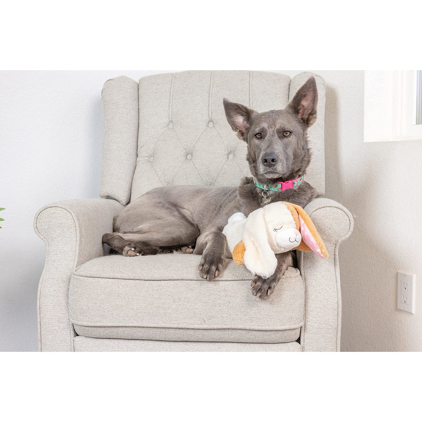 Downtown Pet Supply Heartbeat Puppy Toy with Pulse - Stuffed Rabbit Comfort Toy for Anxious Dogs with Removable Heartbeat - Puppy Heartbeat Toy Sleep Aid for Small, Medium, and Large Breeds, 12" Long