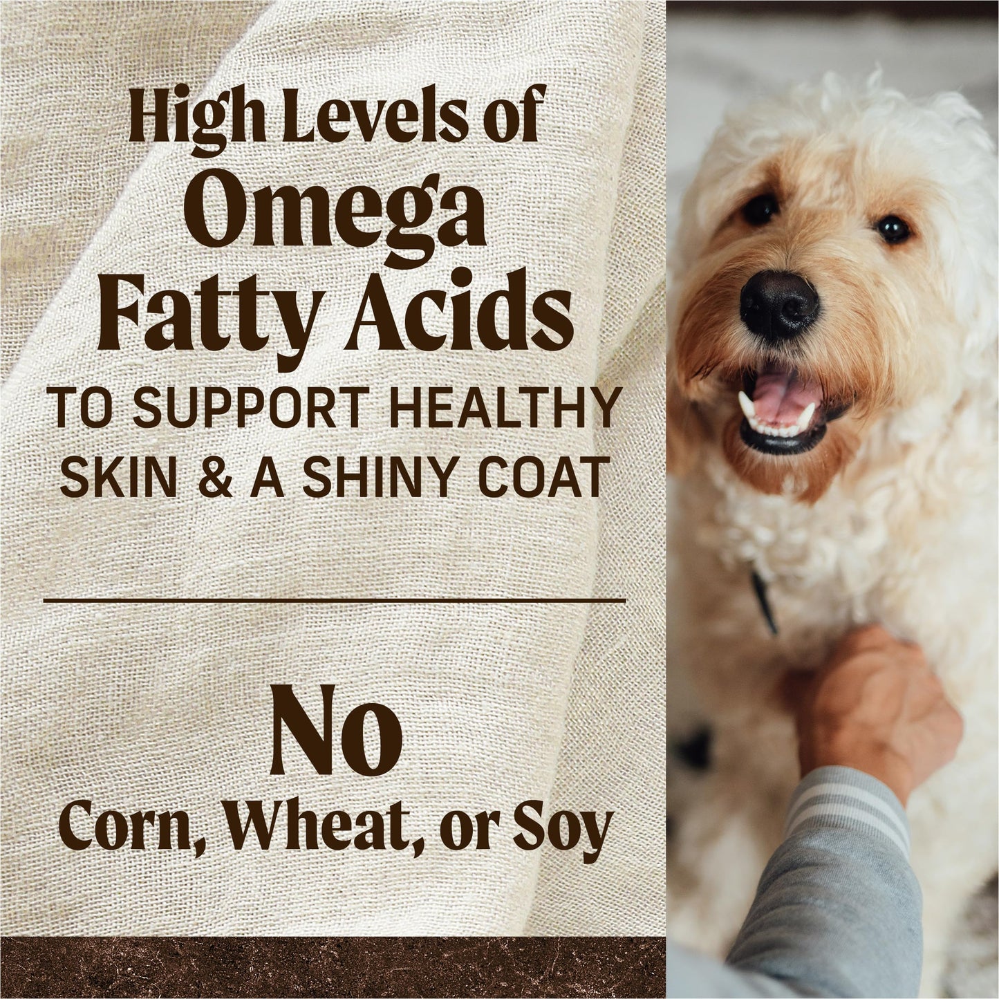 Merrick Premium Grain Free Dry Adult Dog Food, Wholesome And Natural Kibble With Real Lamb And Sweet Potato - 4.0 lb. Bag