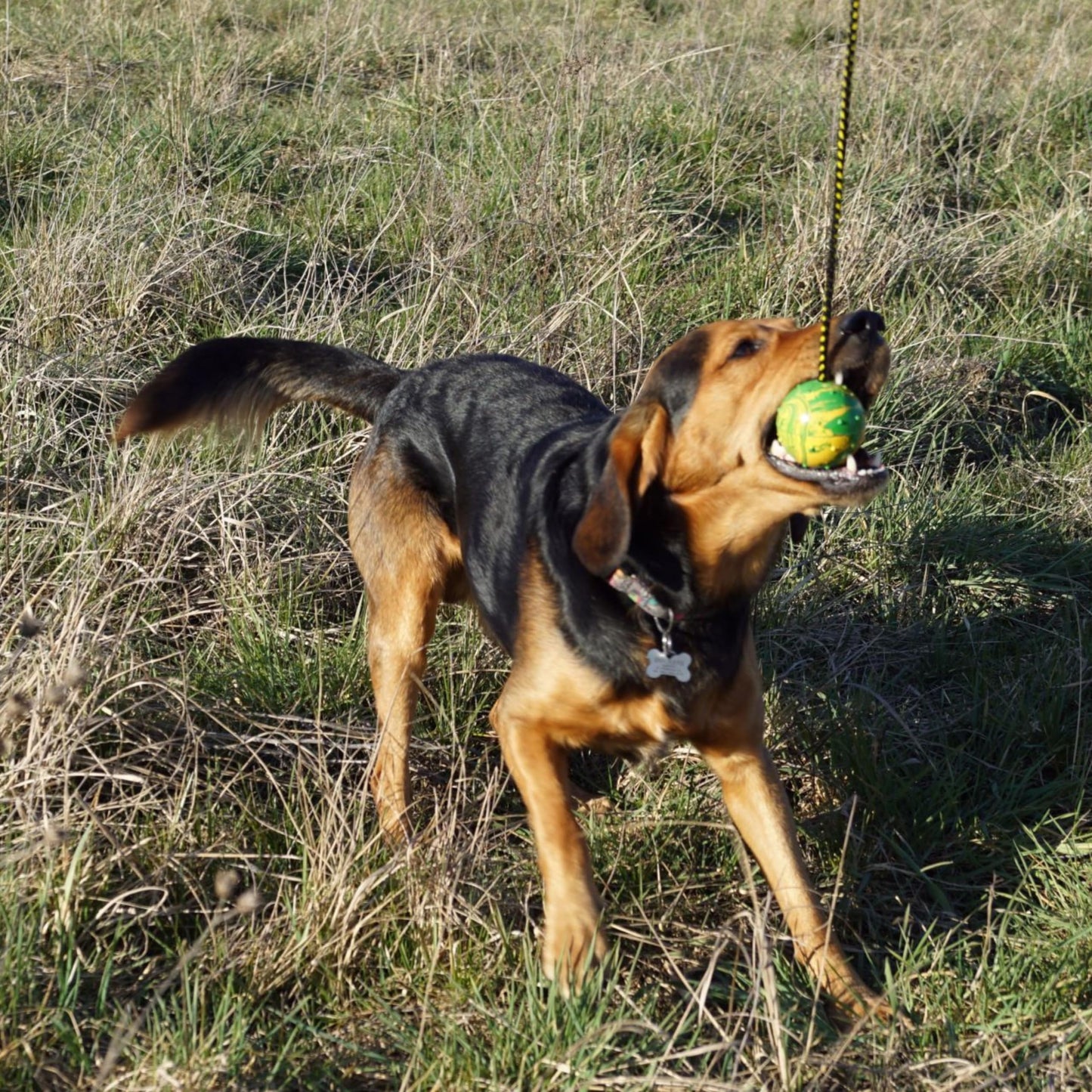 PAWFECT TOYS Rope and Ball Dog Toy - Interactive Tug of War - Durable for Small Medium Large Breeds - Tough Dog Toys to Keep Them Busy - Indestructible Dog Toy Aggressive Chewers - Dog Toys Boredom