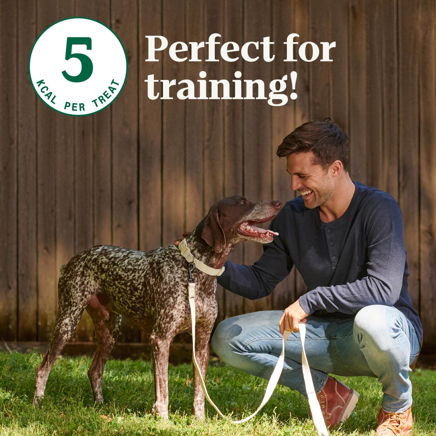 Nutro Crunchy Dog Treats with Real Apple, 16 oz. Bag