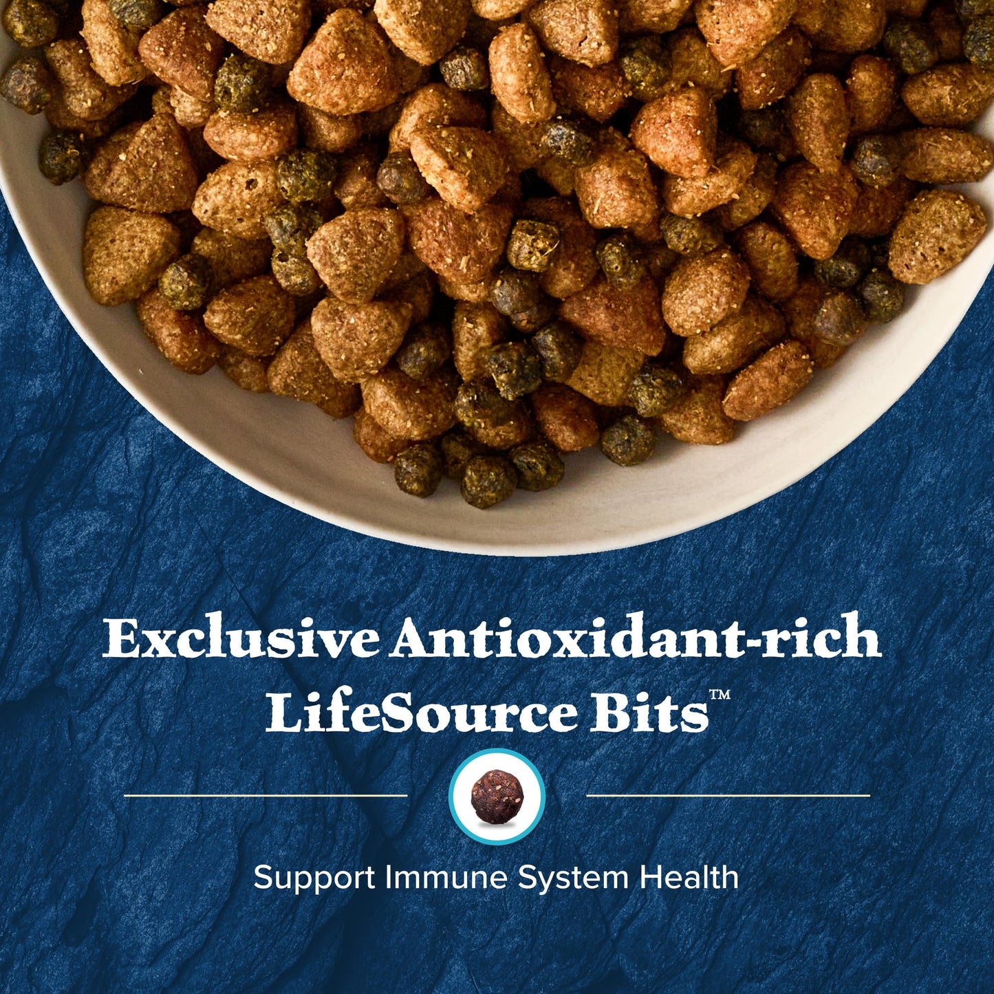 Blue Buffalo Wilderness High Protein Natural Adult Large Breed Dry Dog Food Plus Wholesome Grains, Salmon 24-lb