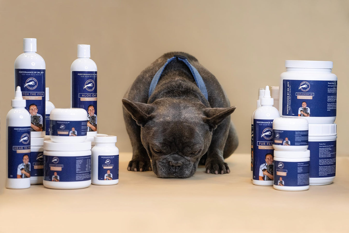 Dr. Jeff Werber What Itch? Shampoo - Soothing and Soap Free Oatmeal Pet Shampoo for Itching, Flaking, and Irritation - Skin Care for Cats and Dogs of Different Breeds and Sizes - 16oz