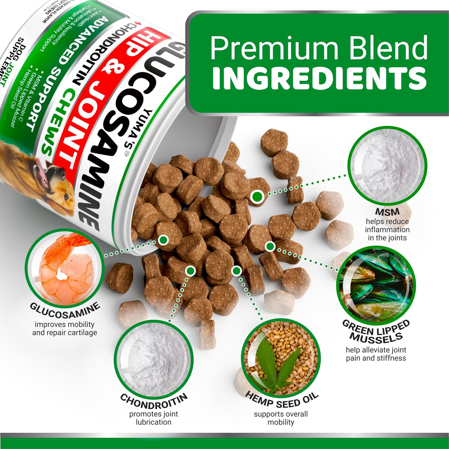 YUMA'S Glucosamine for Dogs - Hip and Joint Supplement for Dogs - 170 Ct - Glucosamine Chondroitin Chews - Joint Pain Relief Supplement with MSM - Advanced Health - Mobility Support - Made in USA