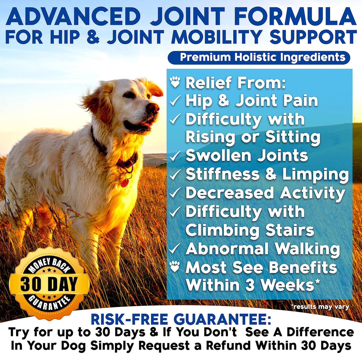 Well Loved Glucosamine for Dogs - Joint Supplement for Dogs, Made in USA, Vet Developed, Glucosamine Chondroitin, Hip and Joint Chews with MSM, Large Breed, Pain Relief, 120 Chews