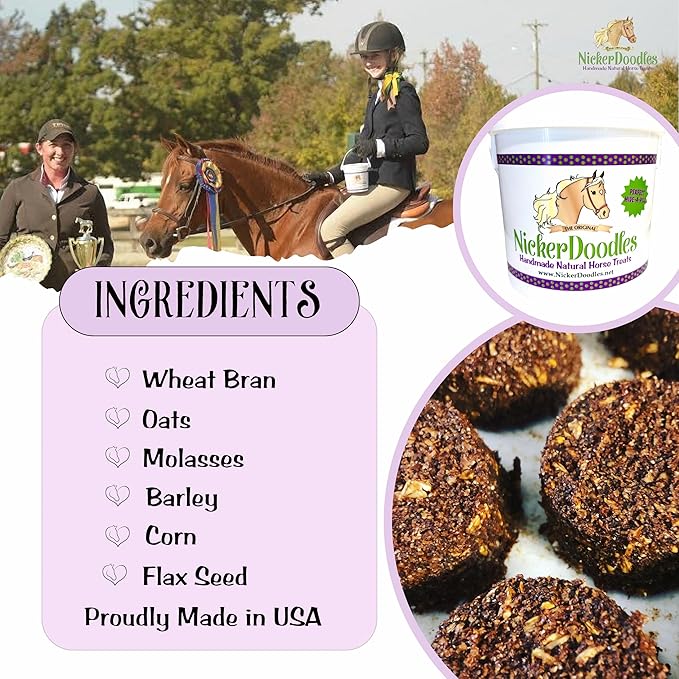 Horse Treats - 1 lb Pail - Effortlessly Give Medications with Our Soft Baked Treats - Training Treats are The Perfect Motivator - No Additives or Preservatives