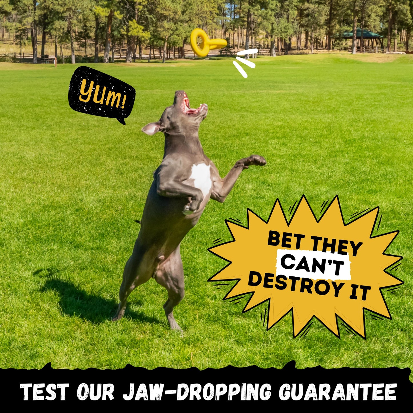 WoofBite Tug Rings – Indestructible Dog Toy for Aggressive Chewers – Durable Power Chewer Toy – Tough, Heavy Duty Natural Rubber – Safe & Non-Toxic Medium/Large Breed – 6.5in