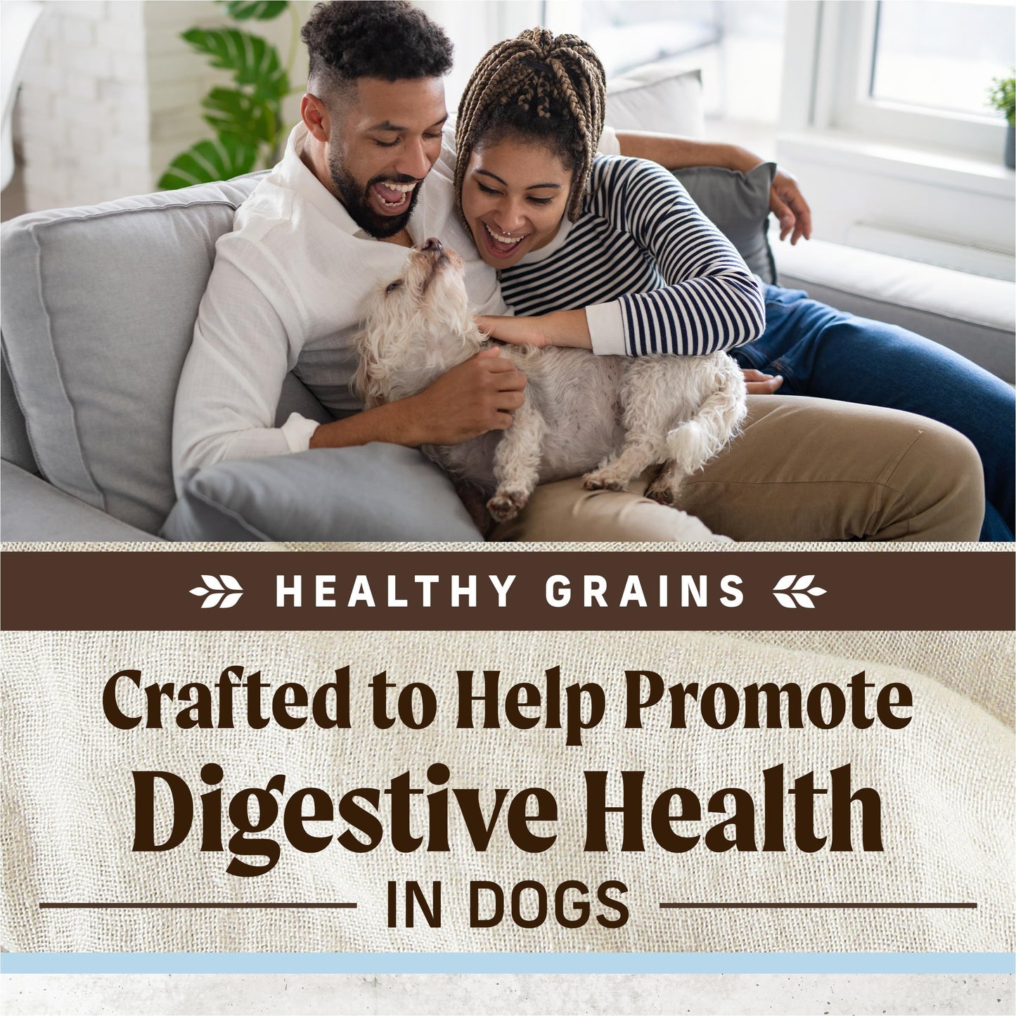 Merrick Gut Health Recipe, Healthy Grains Natural Chicken and Rice Dry Dog Food with Yogurt-Infused Clusters - 4 lb. Bag