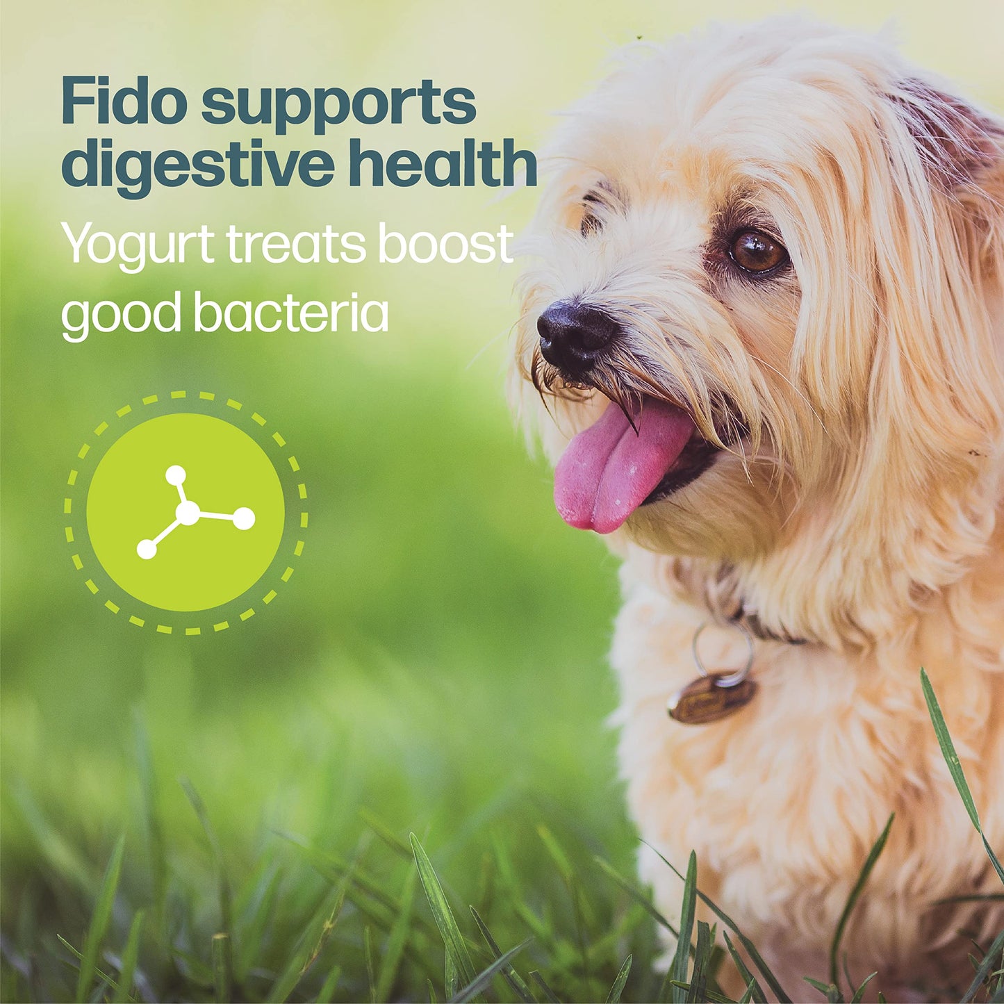 Fido - Belly Bones for Dogs, 100 Yogurt Flavor Mini Dog Dental Treats(100 Count) - Made in USA - For Extra Small Dogs - Plaque and Tartar Control for Fresh Breath, Digestive Health Support