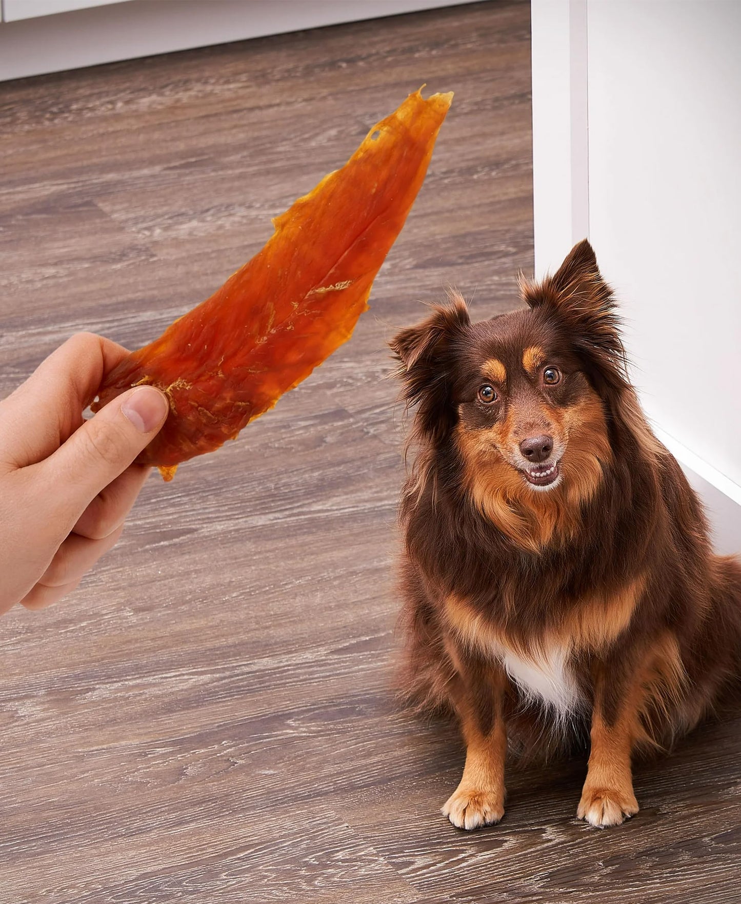 Golden|Rewards Chicken Jerky Dog Treats, 16 oz Bag, Made with Wholesome Chicken Breast, Low Fat, Grain-Free, No Artificial Colors or Preservatives, Premium High-Protein Snack for Dogs