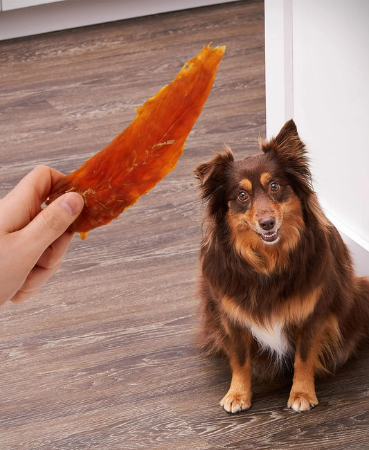 Golden|Rewards Chicken Jerky Dog Treats, 16 oz Bag, Made with Wholesome Chicken Breast, Low Fat, Grain-Free, No Artificial Colors or Preservatives, Premium High-Protein Snack for Dogs