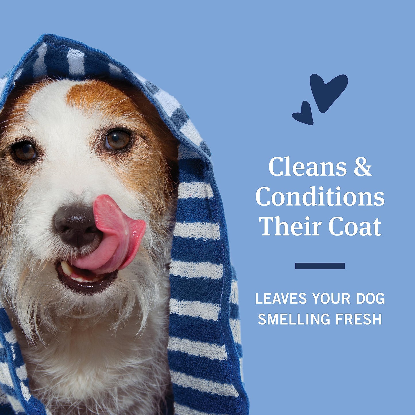 PetArmor Flea & Tick Protection Oatmeal Shampoo for Dogs, Hawaiian Ginger Scent, 18 Ounce